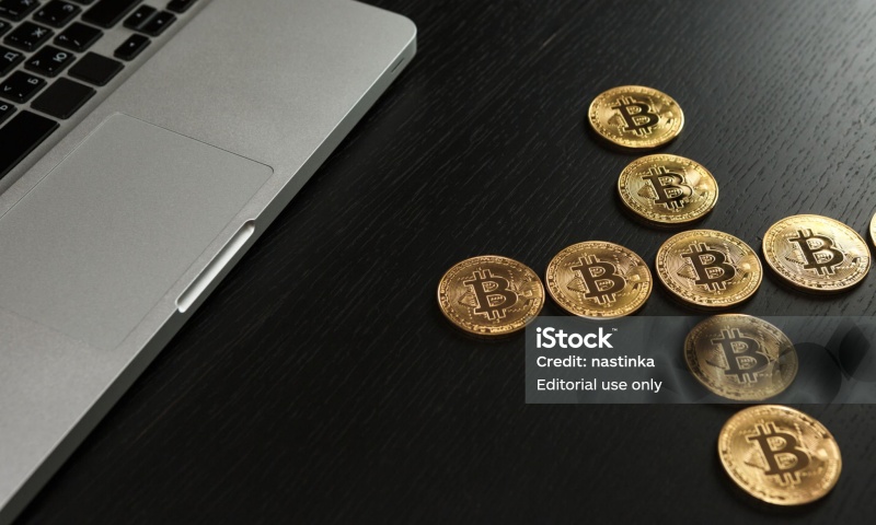 NewtonXchange是什么交易所？牛盾交易所的功能与使用指南